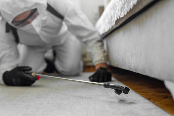 Professional Bed Bug Control technician working in Highland Lakes, AL