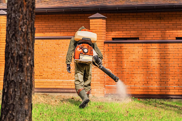 Trusted Emergency Pest Control service in Highland Lakes, AL - Nex Pest Control
